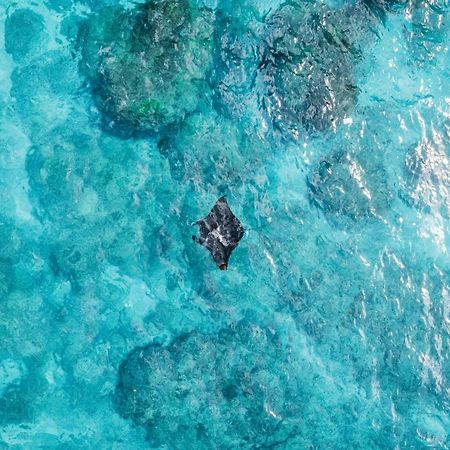 Tropical Glamping Nusa Penida - Private Romantic Seaside Bungalow Diamond Beach Polilit エクステリア 写真